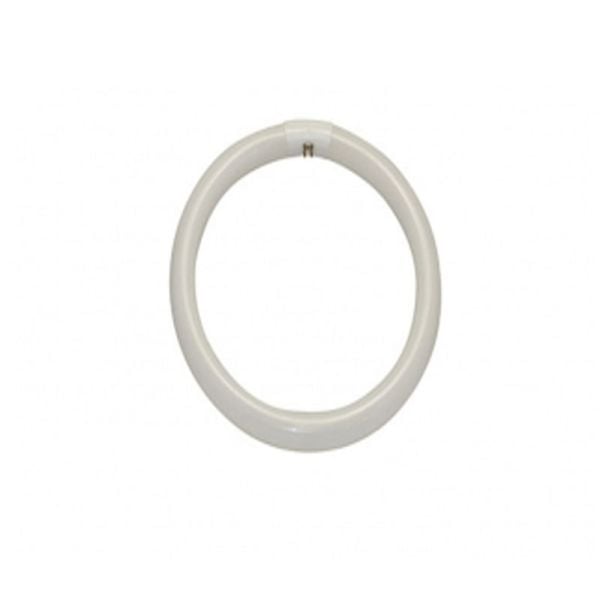 TECH UNITED RING TUBES FCL32EX-D30