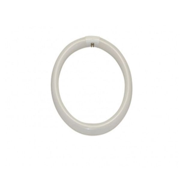 TECH UNITED RING TUBES FCL40EX-D