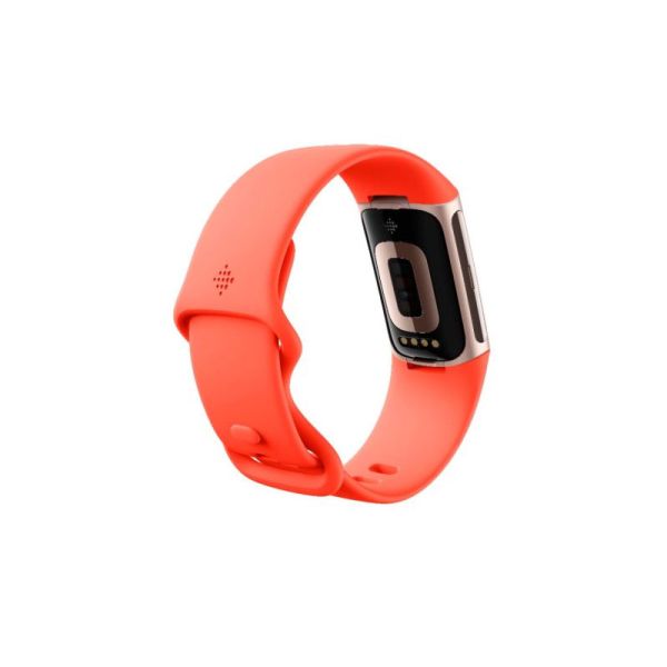 FITBIT FITNESS GA05184-CHARGE 6 COR/ GOLD