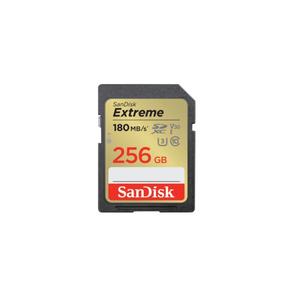 SANDISK MEMORY SD CARD SDSDXVV-256G-GNCIN